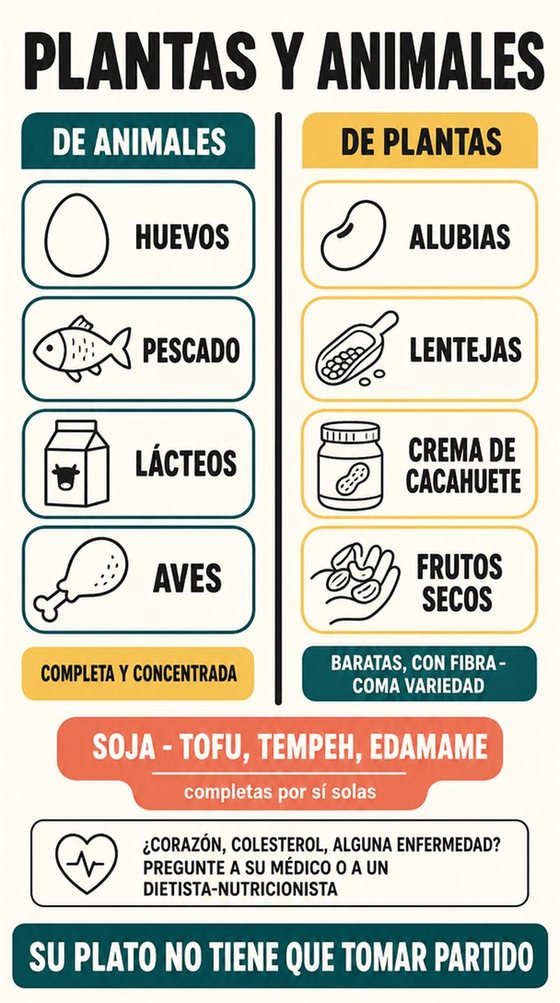 Una persona mayor resuelve la decisión práctica que representa «vegetal y animal», con una secuencia clara, un entorno que acompaña y objetos cotidianos reales.
