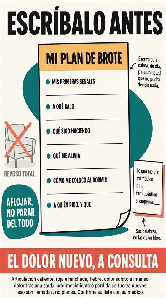 Una persona mayor resuelve la decisión práctica que representa «el plan para los brotes», con una secuencia clara, un entorno acogedor y objetos cotidianos realistas.