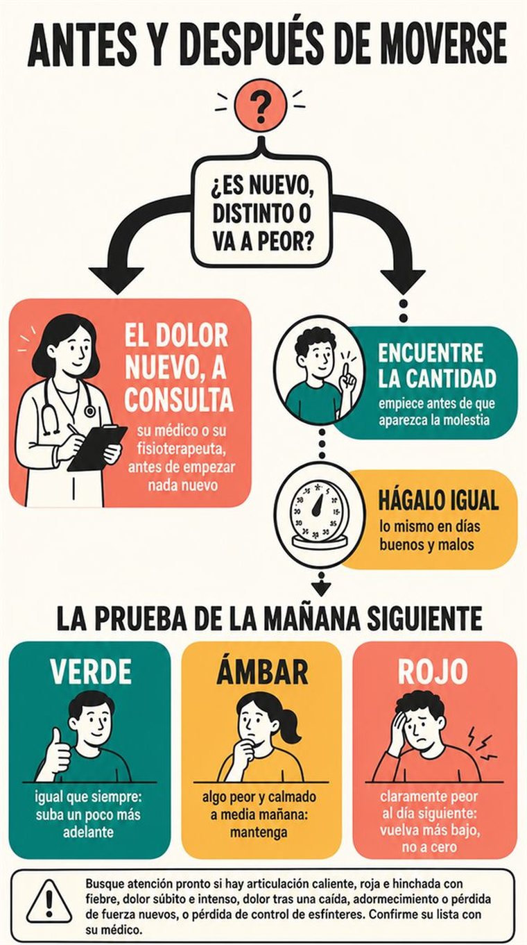 Un camino de decisión de cuatro etapas representado como estaciones visuales por las que avanza una persona mayor y tranquila, sin palabras.