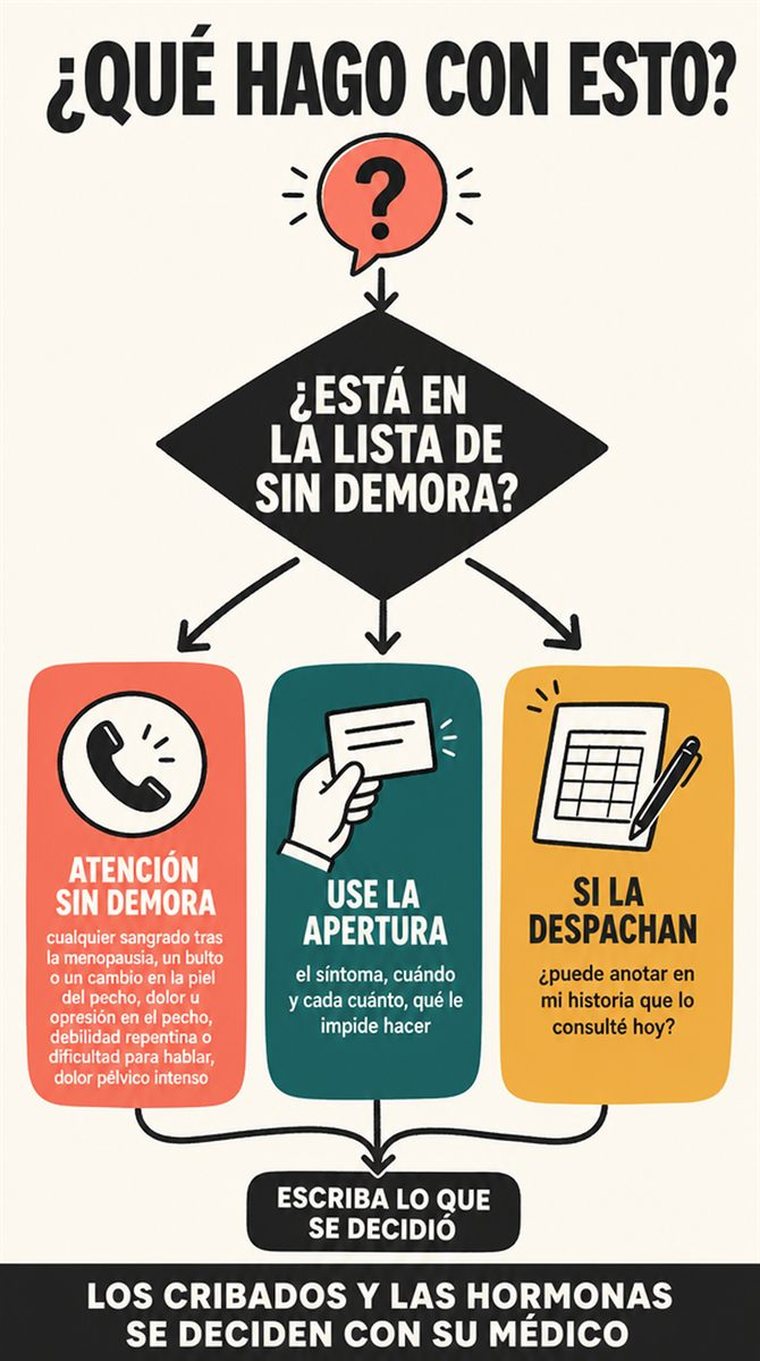 Un camino de decisión de cuatro etapas representado como cuatro estaciones visuales por las que avanza con calma una persona mayor, sin palabras.